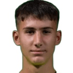 V. Draškić